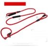 Dog Slip Lead for Everyday Walks and Training