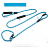 Dog Slip Lead for Everyday Walks and Training