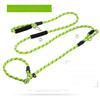 Dog Slip Lead for Everyday Walks and Training