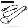 Dog Slip Lead for Everyday Walks and Training
