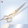 Pet Grooming Scissors Set with Thinning, Curved & Straight Shears