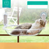 Transparent Capsule Cat Window Bed