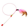 Cat Teaser Wand with Feather and Bell