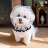 Breathable Mesh Muzzle for Small to Medium Dogs