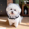 Breathable Mesh Muzzle for Small to Medium Dogs
