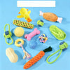Dog Squeaky Chew Toy Set for Play and Solo Entertainment