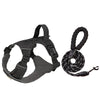 Lightweight Adjustable Vest-Style Dog Harness with Leash