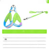 Y-Style Dog Harness and Leash Set for Small Dogs