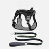 Lightweight Pet Harness and Leash Set