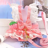 Small Dog Summer Dress with Matching Leash