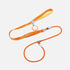 Integrated Dog Collar and Leash with Control Handle