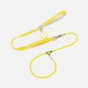 Integrated Dog Collar and Leash with Control Handle