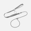Integrated Dog Collar and Leash with Control Handle