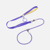 Integrated Dog Collar and Leash with Control Handle