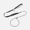 Integrated Dog Collar and Leash with Control Handle