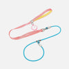 Integrated Dog Collar and Leash with Control Handle
