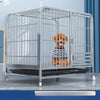 Metal Dog Crate with Removable Tray and Locking Casters
